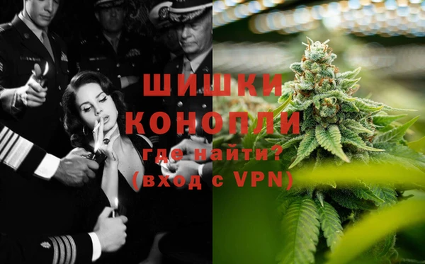 винт Елизово