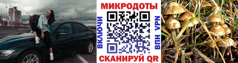 Галлюциногенные грибы прущие грибы  Семёнов 